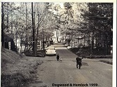 Dogwood and Hemlock